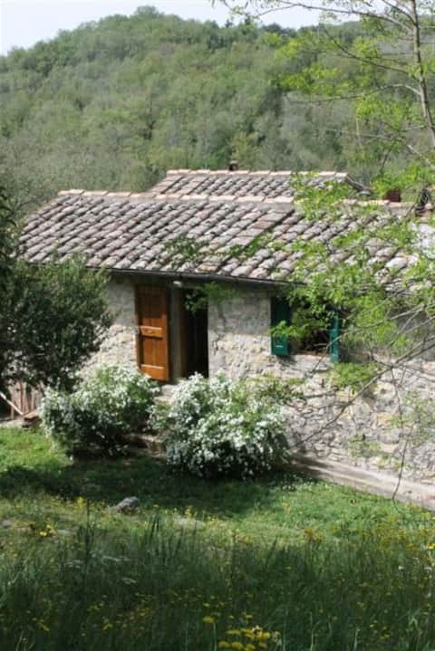 Tuscany Chianti Siena Old Farm Flat