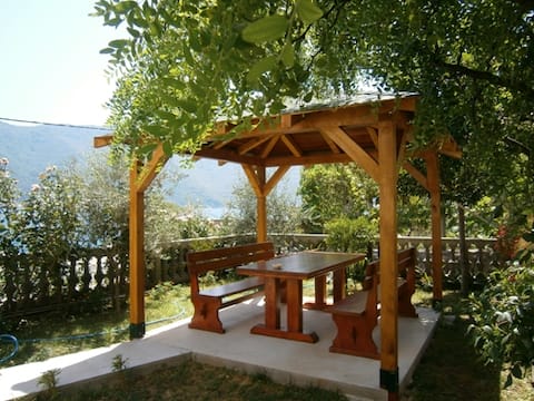 Top Airbnb: Villa Radovic III family apartment in Ubli