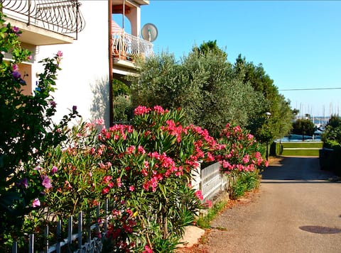 Top Airbnb: Seafront apartment Jadri in Umag