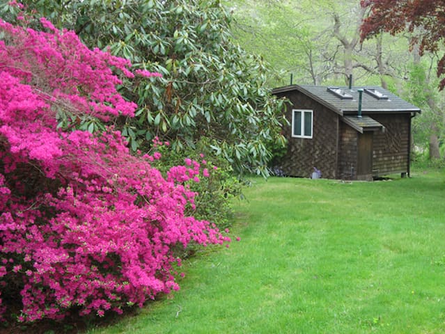Cottage facing fresh water pond