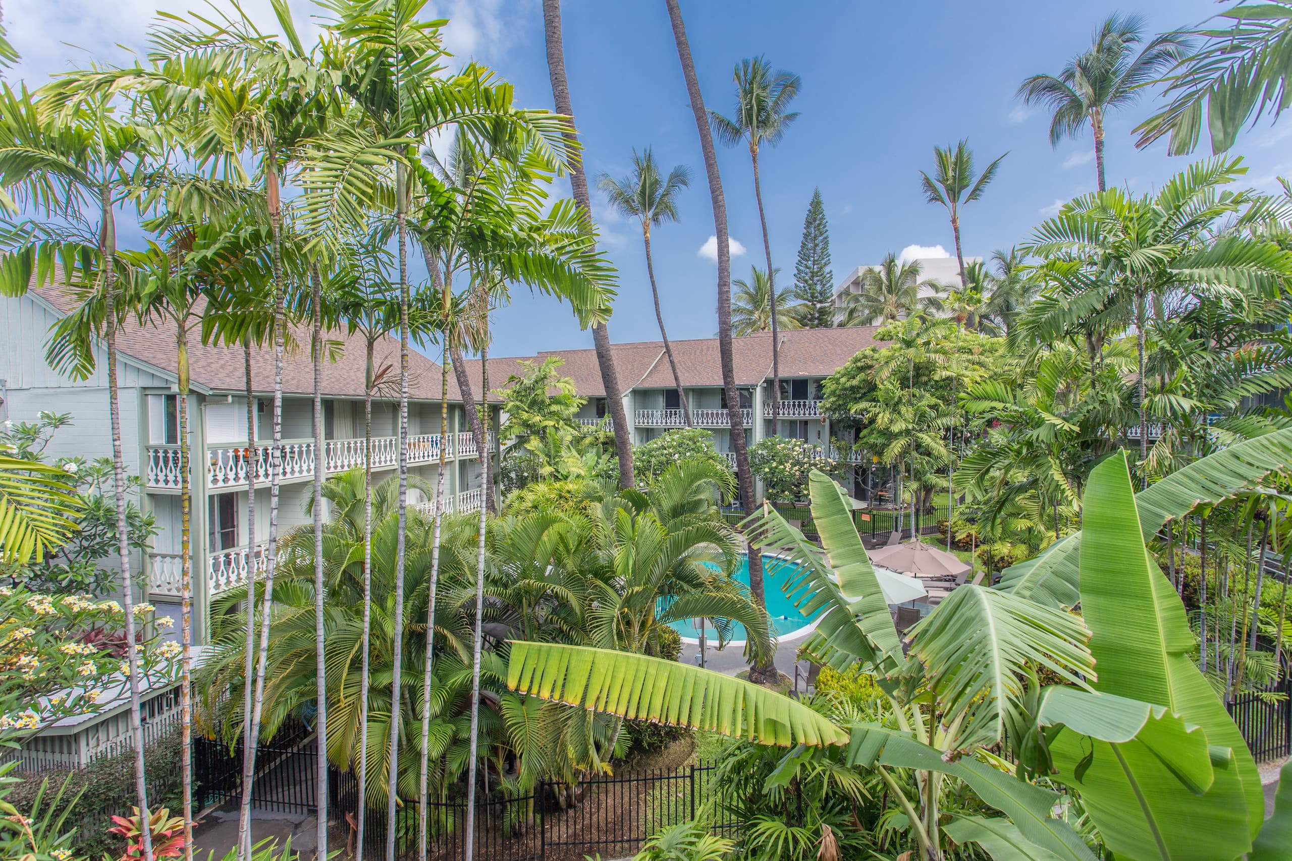 Condo in Kailua-Kona · ★4.74 · 1 bedroom · 1 bed · 1 bath - Image 2