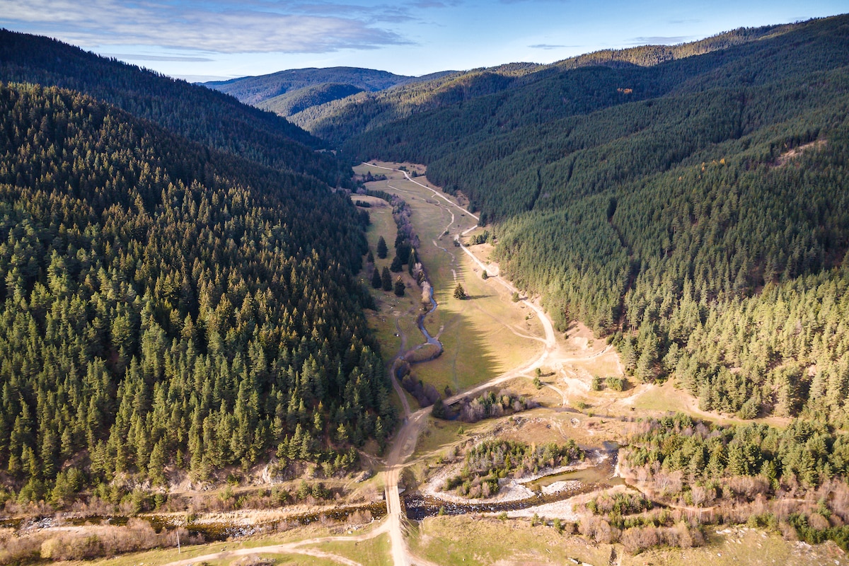 Aerial view of a vast valley surrounded by dense evergreen forests. Meandering pathways and a small stream can be seen cutting through the landscape, with open fields conveying a sense of tranquility and natural beauty.