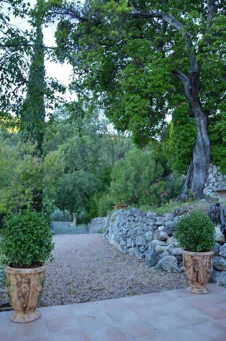 Jardin
