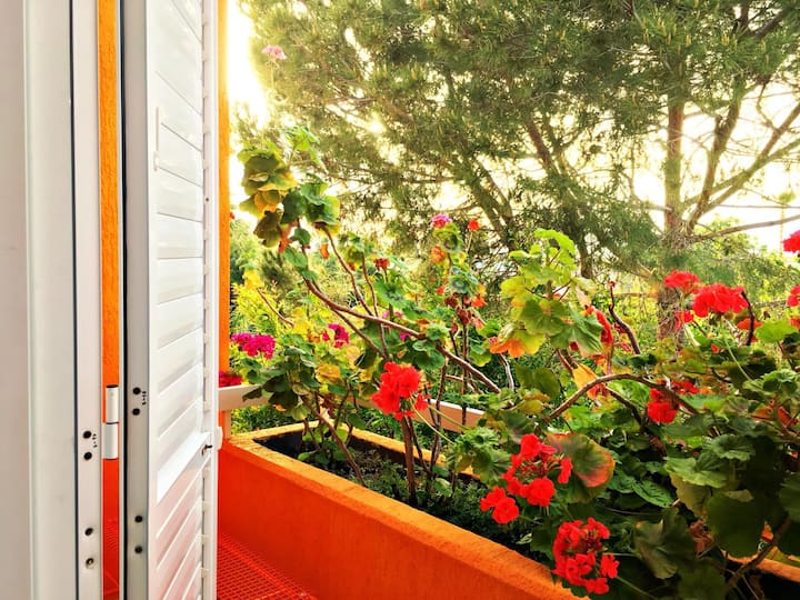 Villa Clementinka - 200 Meters From The Sea - Pafos