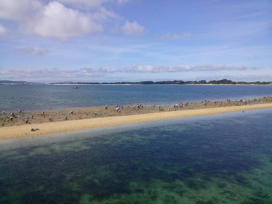Vista de las mariscadoras desde el puente