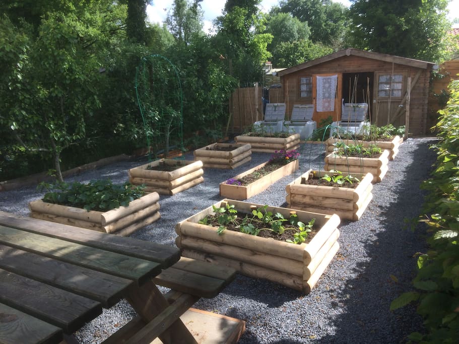 Table de pique-nique et carrés potagers