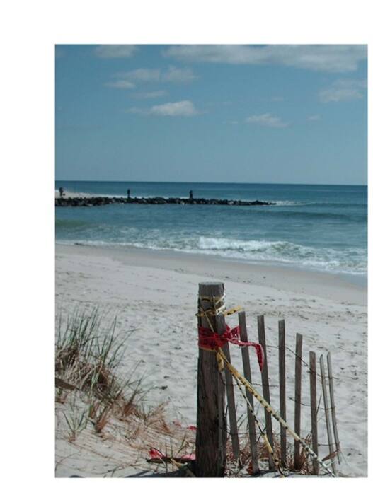 Beach View