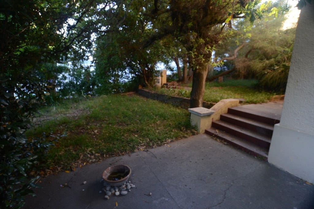 Private front garden from street side
