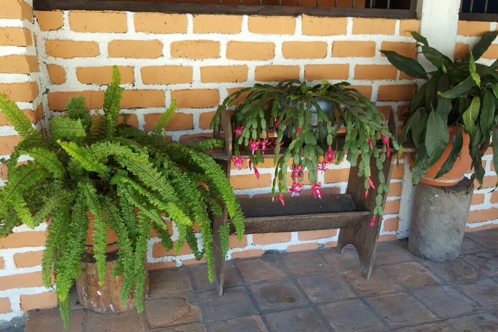 parte de nuestra flora