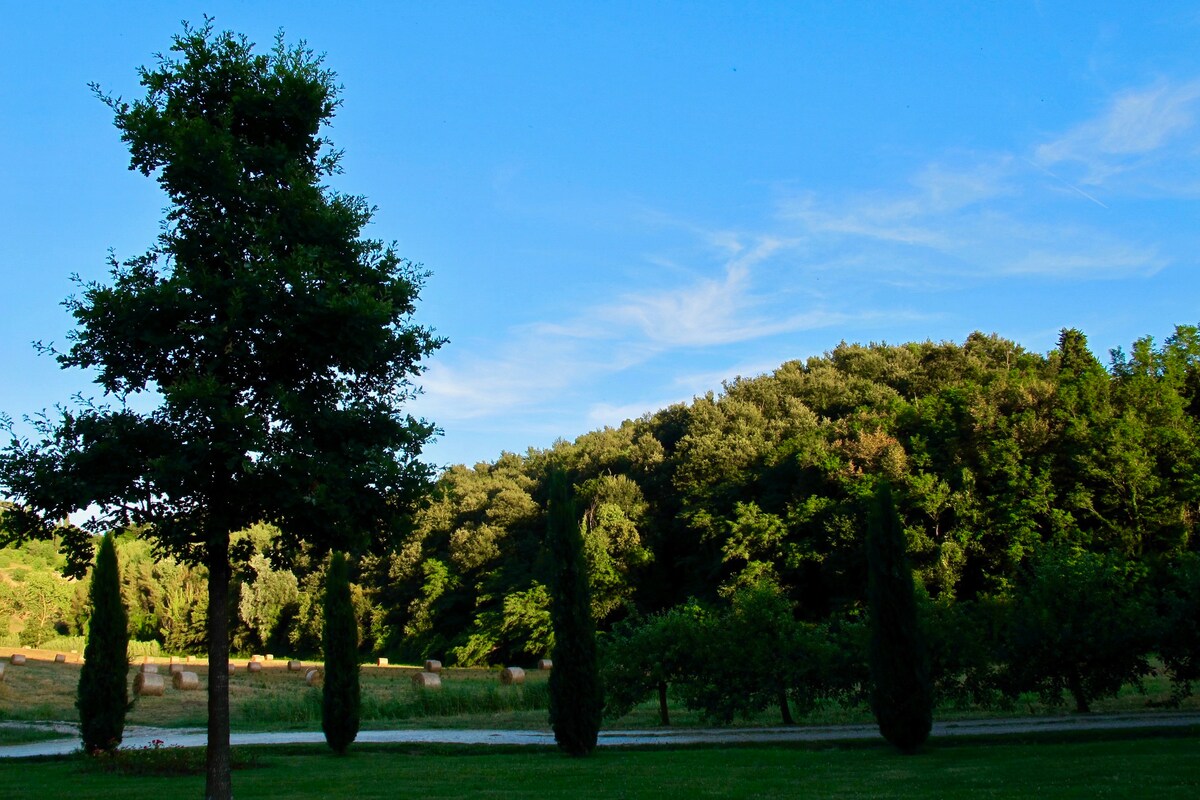 Bio-Agriturismo Carpareto. \, image size:1200x800