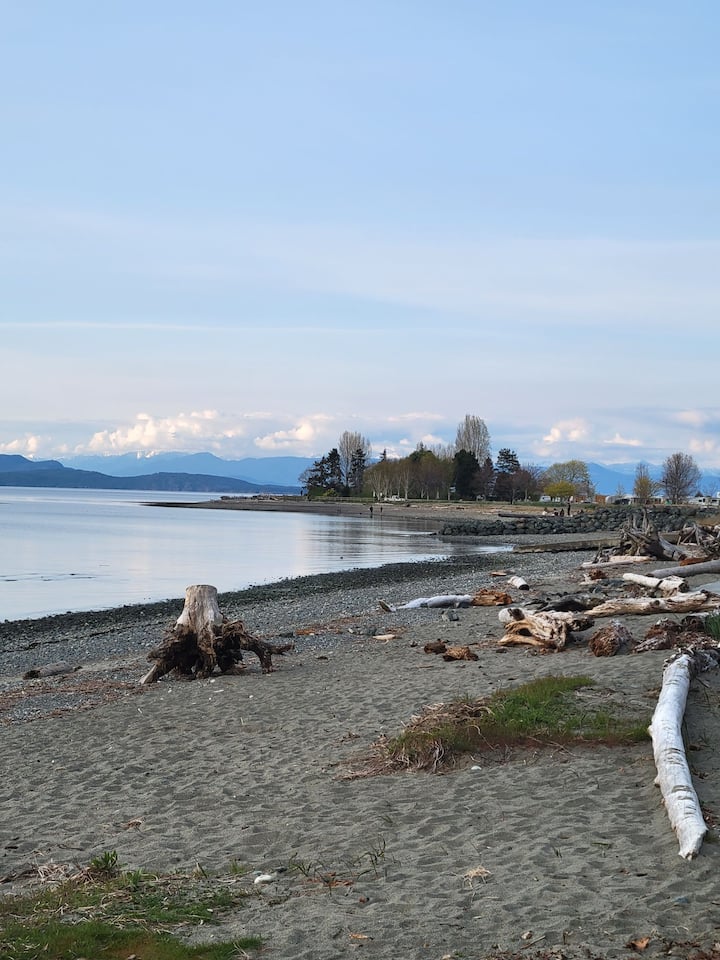 Top 10 PetFriendly Airbnbs In Parksville, Canada Updated 2024 Trip101