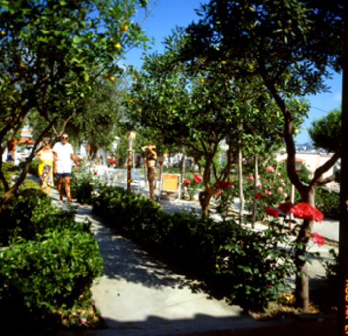 Viale d'ingresso