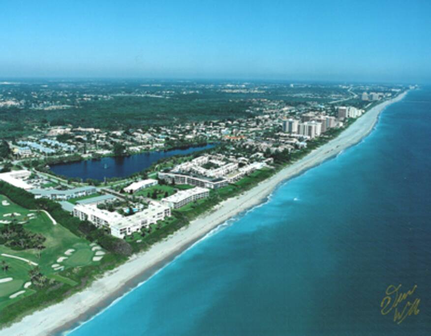 Juno Beach