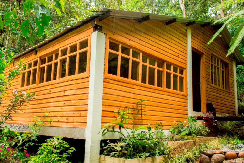 rodeada de naturaleza