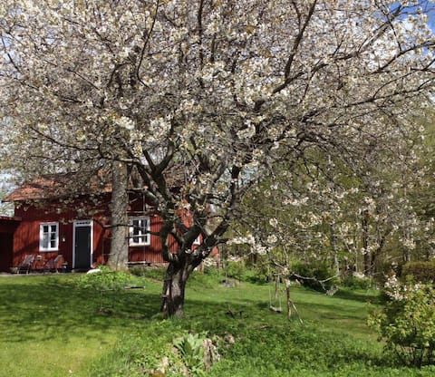 Lantligt charmigt gästhus utanför Borås