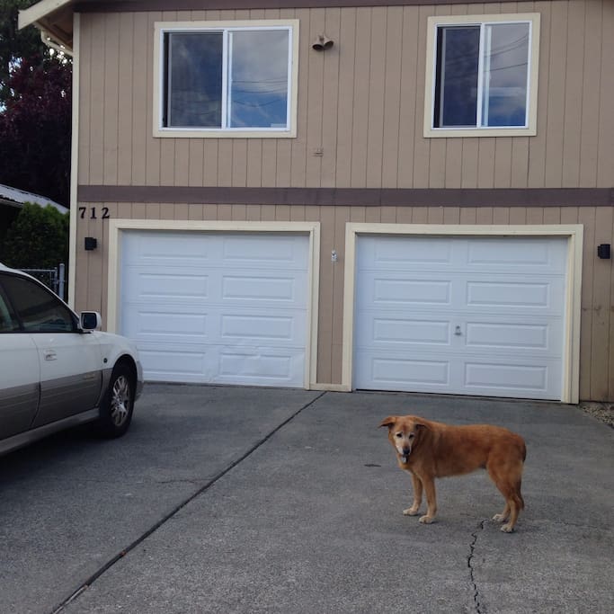 Front of the house. 1 parking spot available to use.