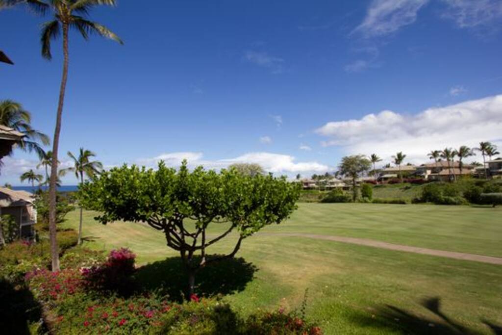 Enjoy watching the golfers and sunsets from your lanai!