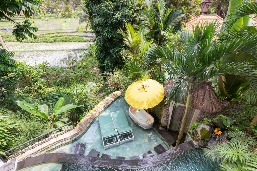 Huge Discount Magical Treehouse Jungle Pool Views Huge Discount Magical Treehouse Jungle Pool Views