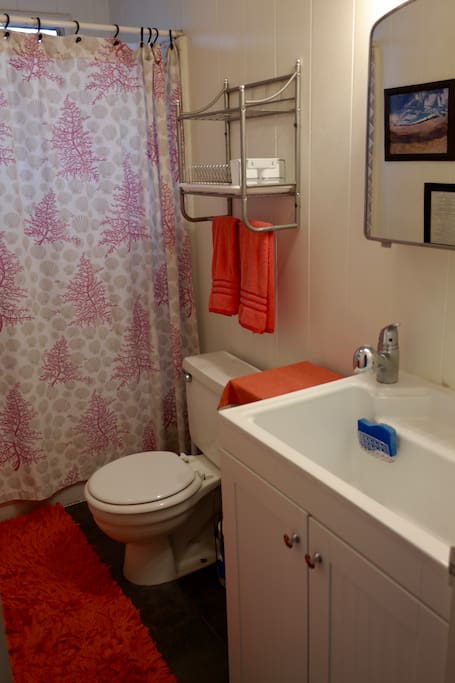 Ensuite Bathroom
(Shower & bathtub, Large sink)