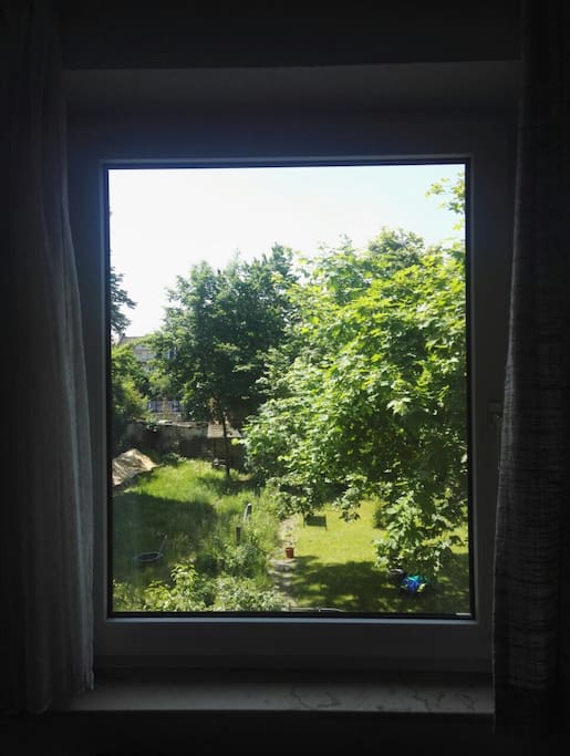 Blick aus dem Fenster