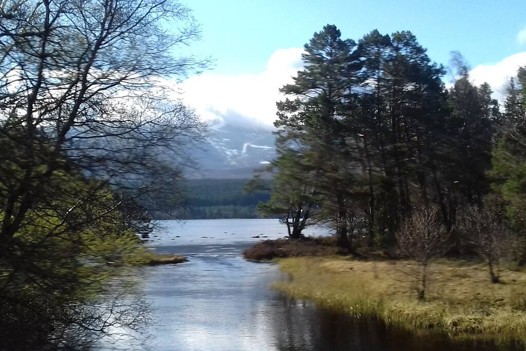 Loch Morlich