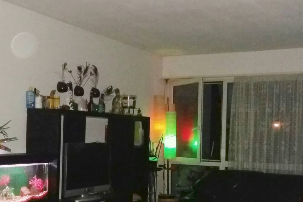 Wohnzimmer TV INTERNET