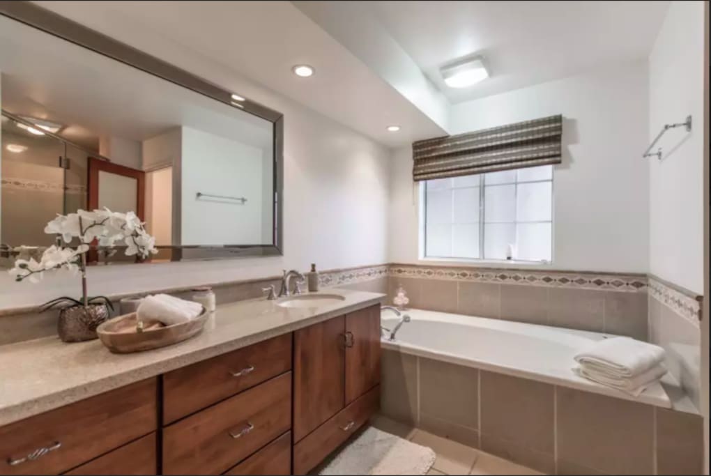 Large Master Bathroom