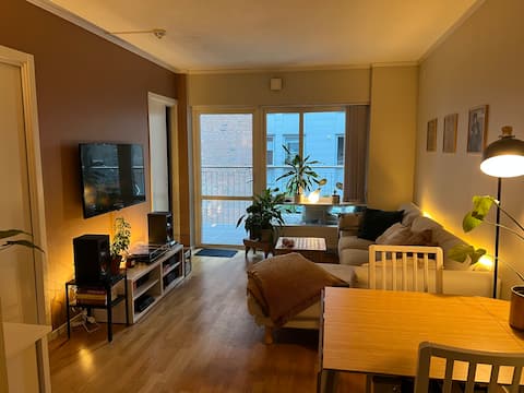Top Airbnb: Central Flat with Balcony, 10 min from City Center in Gamle Oslo