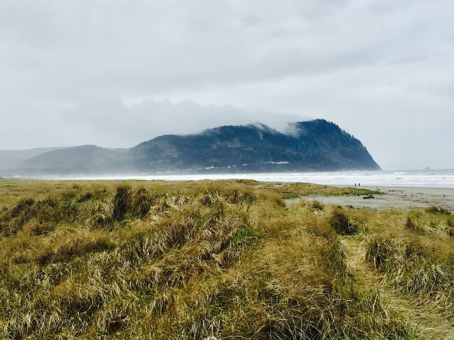 This is YOUR VIEW of the ocean. Walk out the front door of the cottage and in one minute you are walking on the beach!