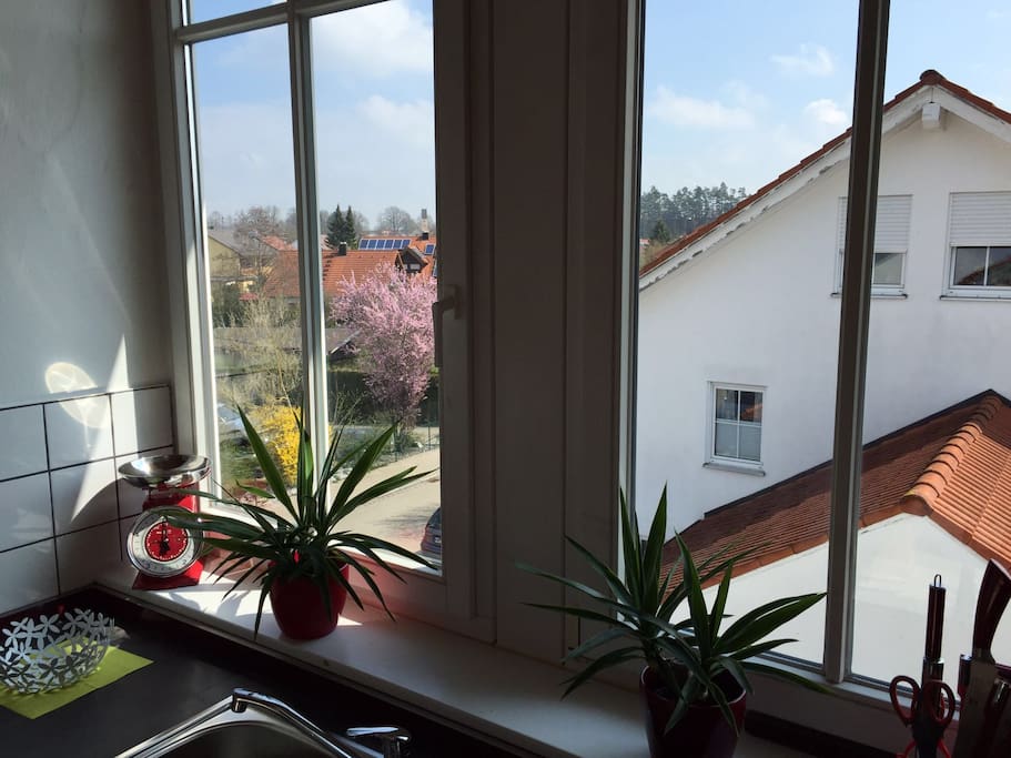 Blick aus der Küche