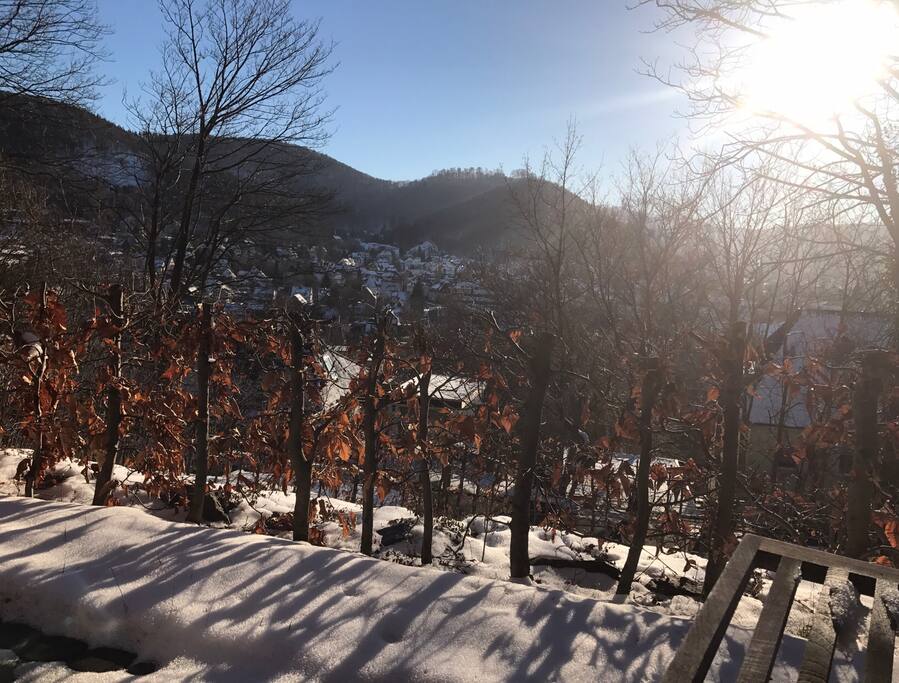 Winterblick