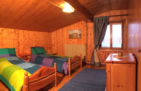 Panoramic attic in the heart of the Dolomites