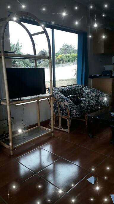 Television connected to a dish, bring your own decoder