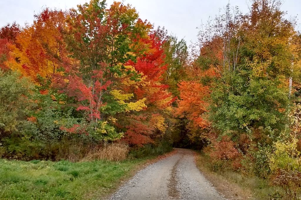 Top of driveway (Autumn)