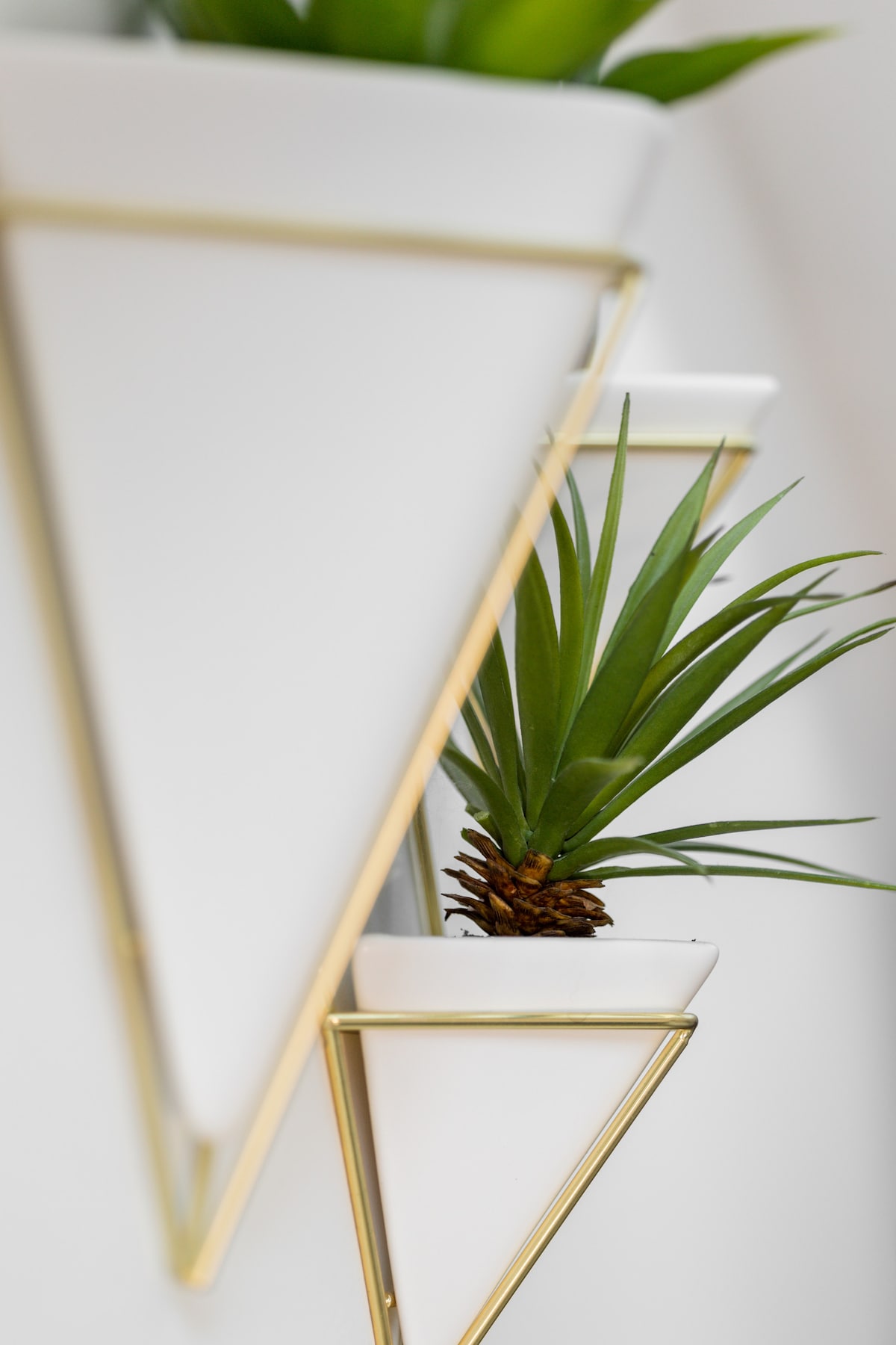 Smart TV · Kiyoyozi · Skylight, hata mimea bandia;-)