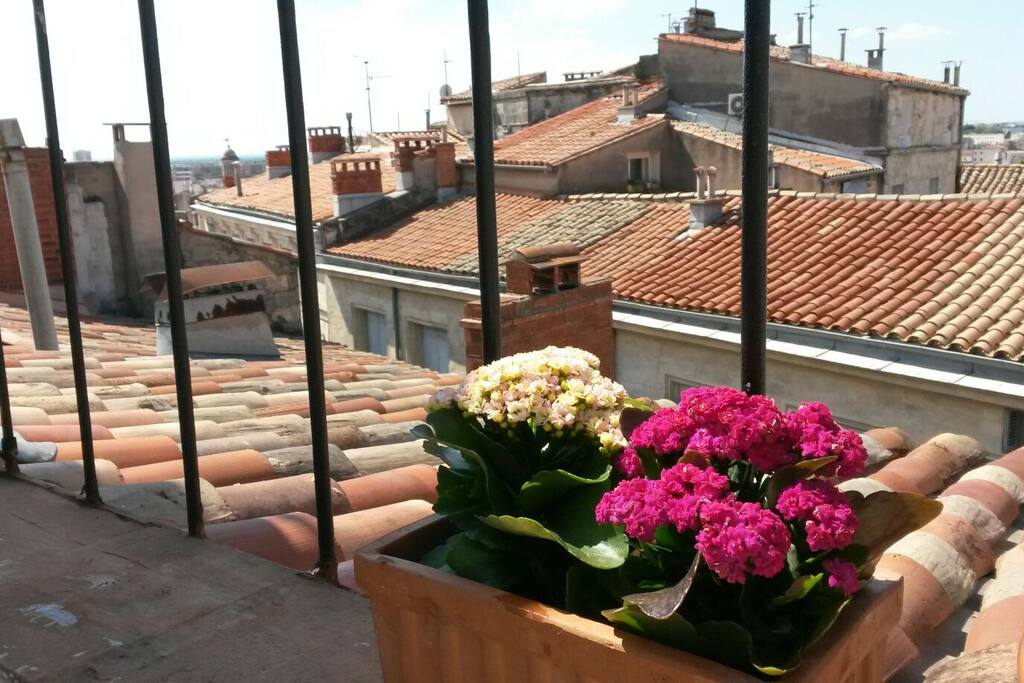 Terrasse tropezienne ensoleillée