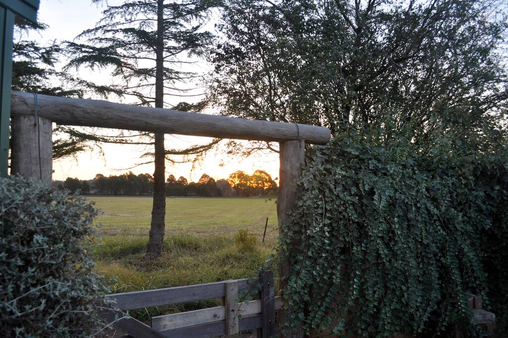 Farm outlook