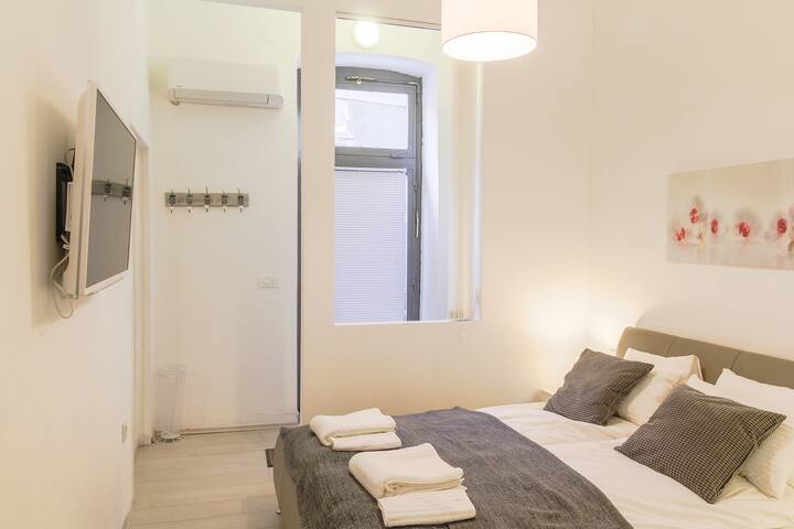 Apartment Nikola Tesla street (Main square)