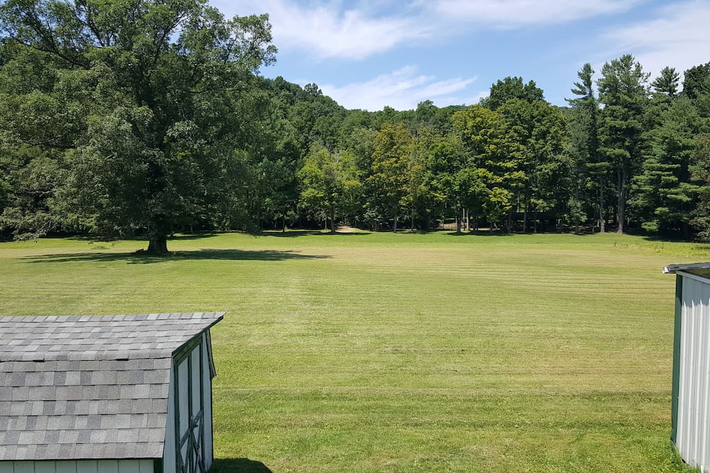 View from the back porch