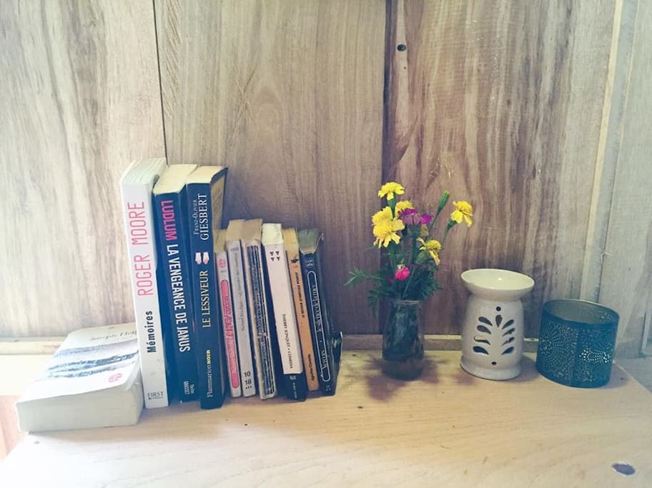 Books in Ban Hieu Garden Lodge