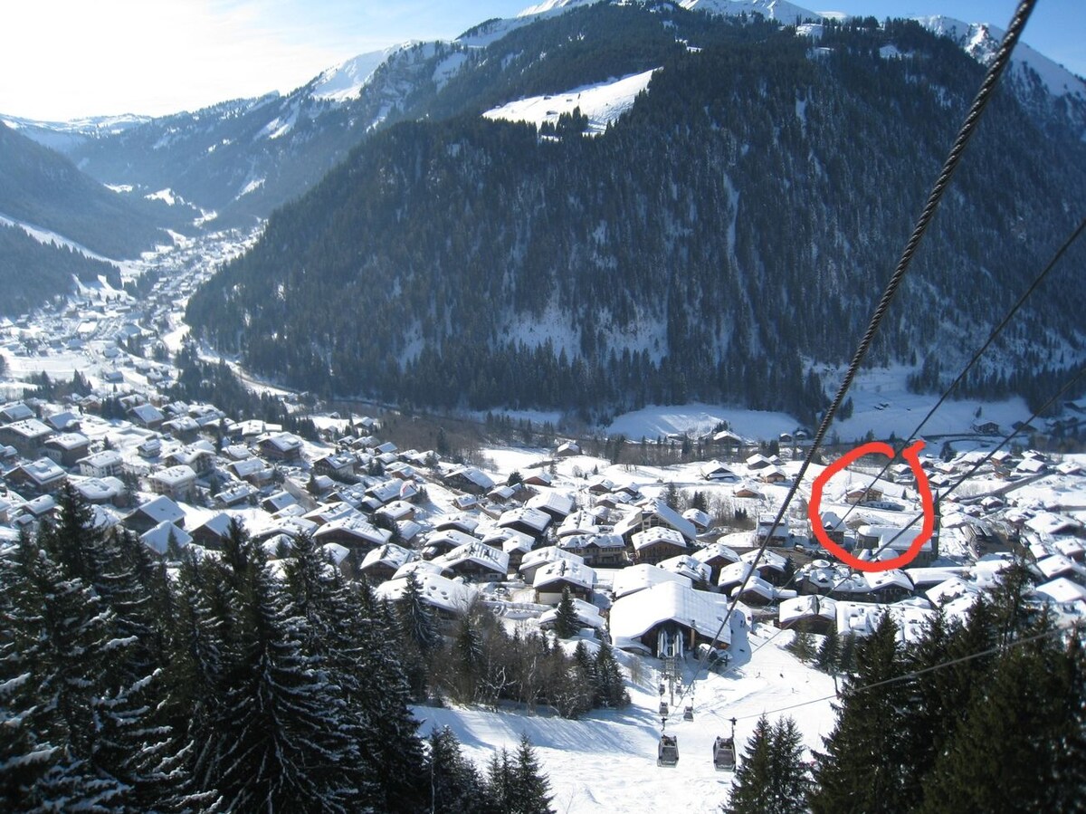 A panoramic view of a snow-covered landscape is presented, showcasing a village nestled among the mountains. The scene features a mix of traditional wooden chalets, with a backdrop of steep, snow-capped peaks. Dense evergreen trees are visible in the foreground.