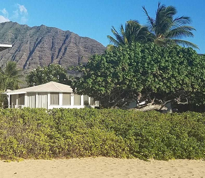 Makai Bungalow from the beach