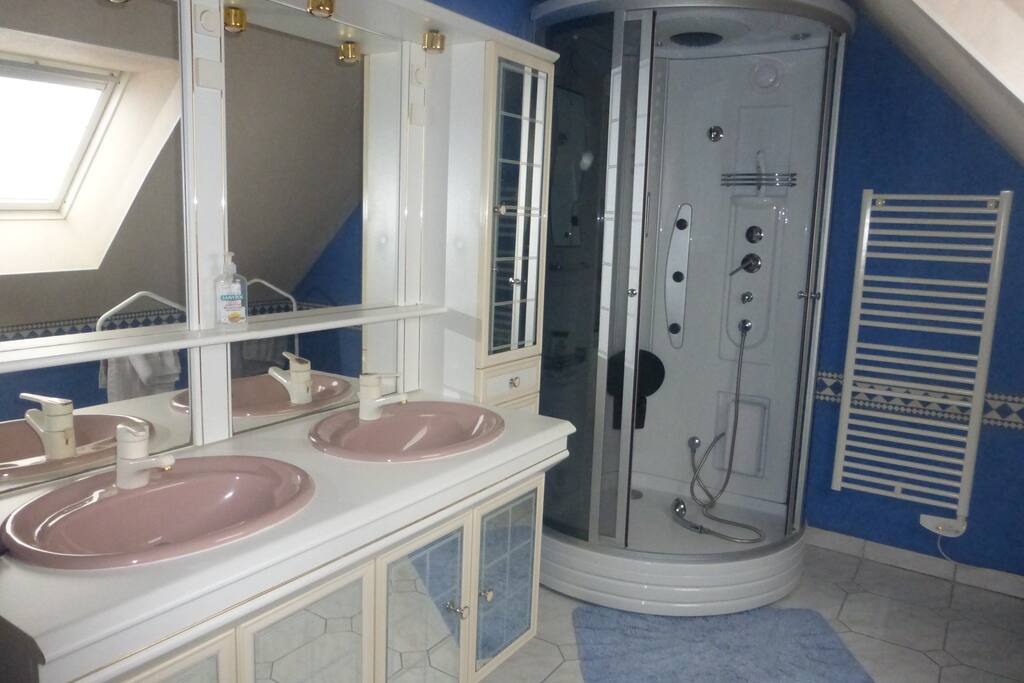 Salle de bain et wc séparé privatifs avec double vasques et douche avec radio.