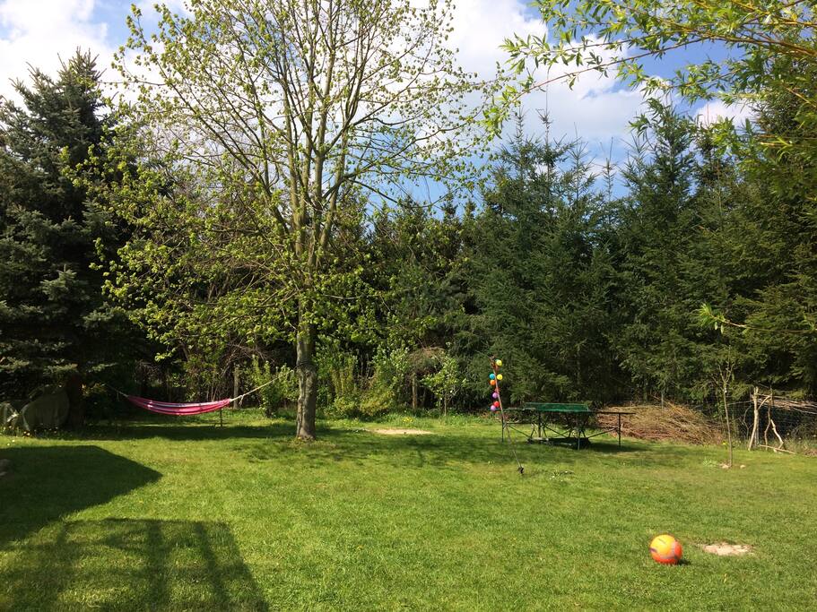 Der hintere Garten mit Hängematte
