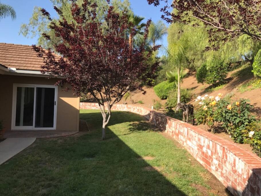 Private patio area accessible through Master bedroom