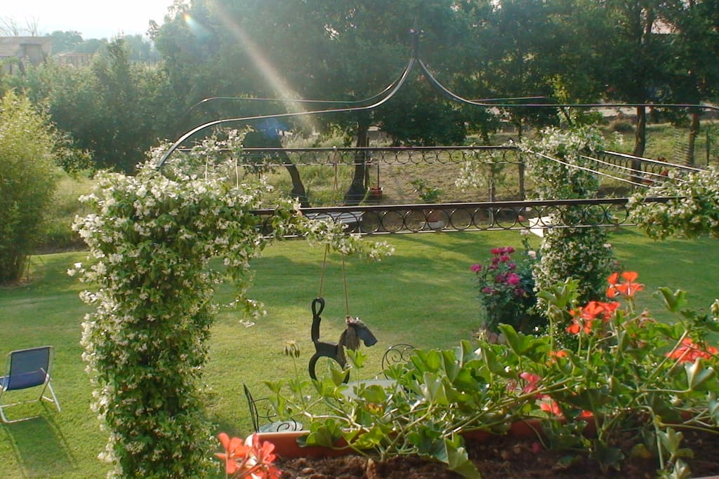 Spring, Tuscany, Tenuta di Argiano
