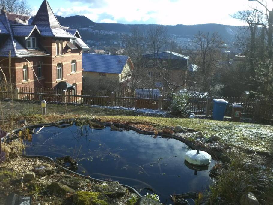 Der Teich und der Blick aus dem Garten.