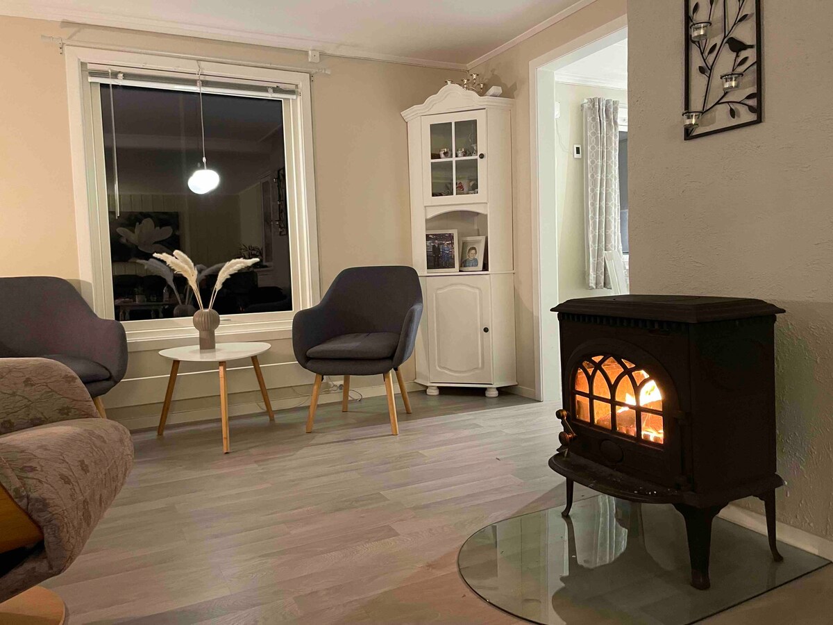 A cozy seating area is featured, with two modern chairs placed around a circular coffee table. A decorative cabinet stands against the wall, and a vintage-style stove emits a warm glow, enhancing the inviting atmosphere of the room. Natural light fills the space through the large window.