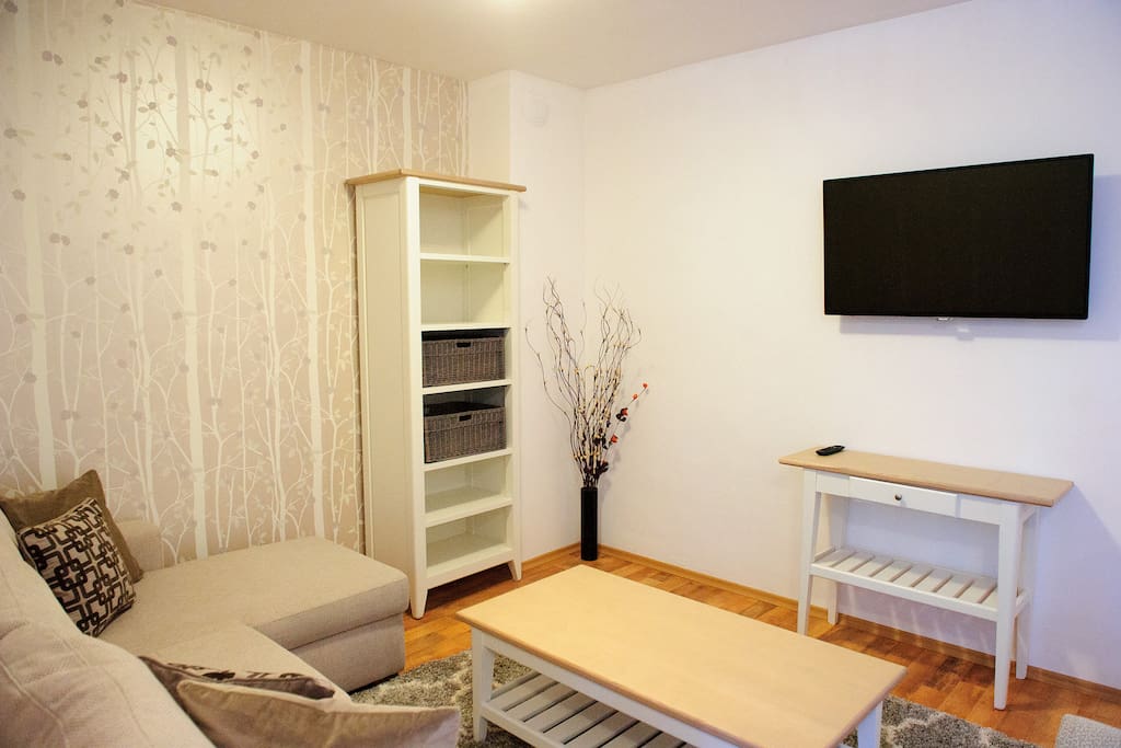 Large TV