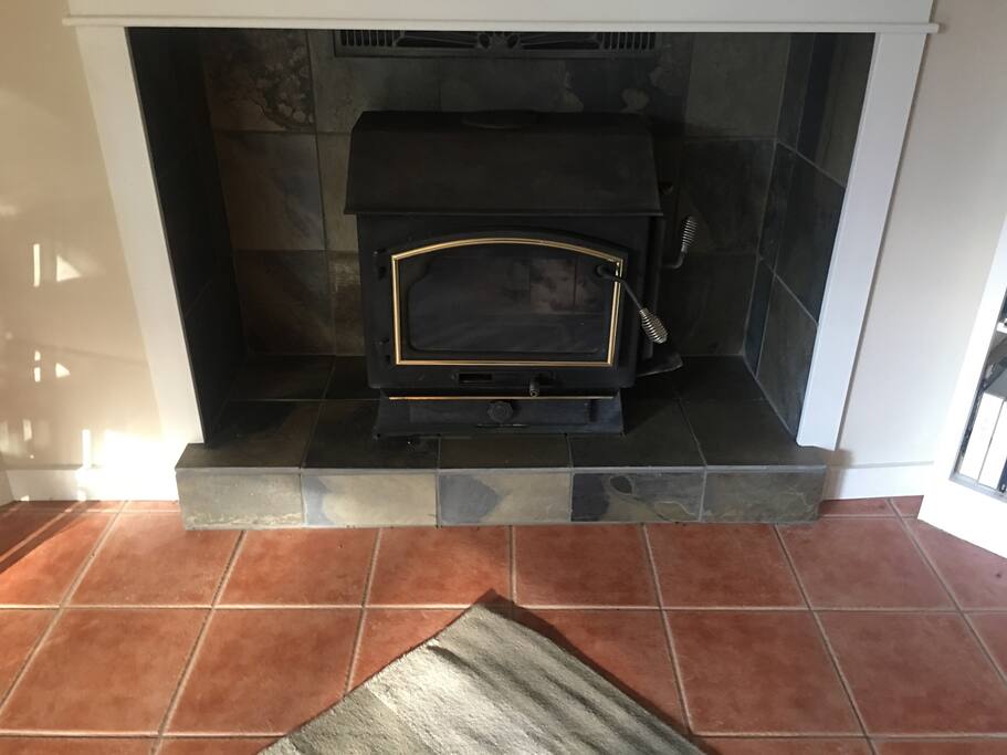 Wood burning fireplace